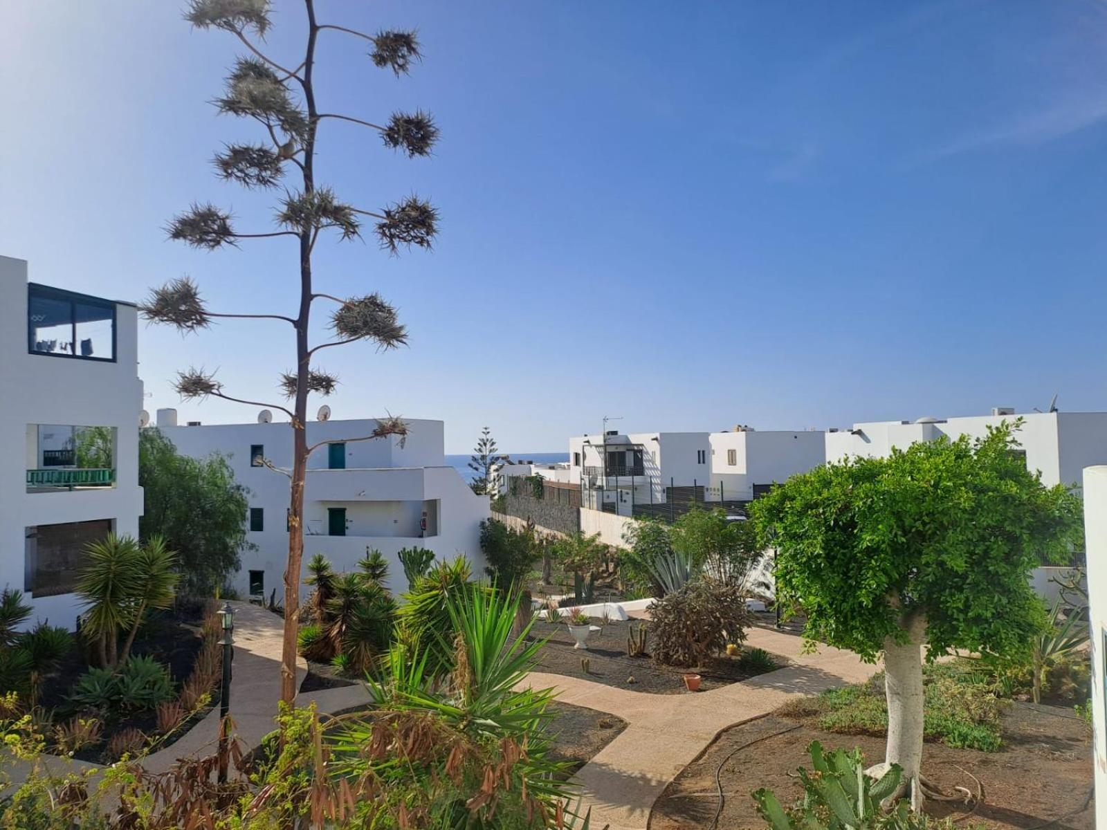 Azul Tuscan Playa Y Piscina كوستا تاغيسي المظهر الخارجي الصورة